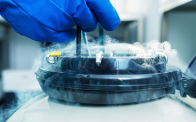 Egg freezing: Your Questions Answered