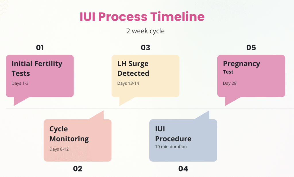 IUI - Fertility Expert Dr Lynn Burmeister
