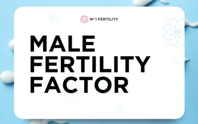 Supporting Male Factor Fertility: How No.1 Fertility Guides You Every Step