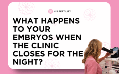 What Happens to Your Embryos When the Clinic Closes for the Night?